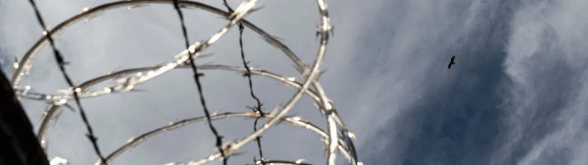 Screen Shot 2020-04-01 at 1.49.32 pm